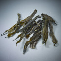 Alga rausu-kombu especial para dashi