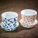 Pair of porcelain Soba noodle cups and mini cups