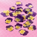 Violas comestibles deshidratadas
