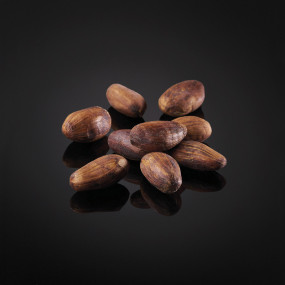 Fève de cacao de Colombie entières