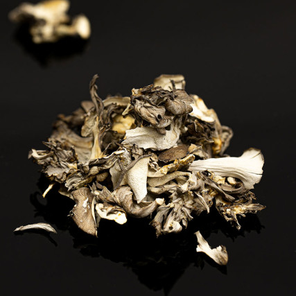 Maitake (Grifola Frondosa)