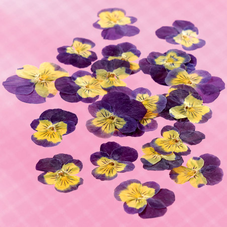 Dried edible viola flowers Flowers & leaves