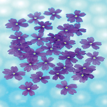 Dried edible verbena flowers Flowers & leaves