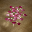 Dried edible red carnation petals