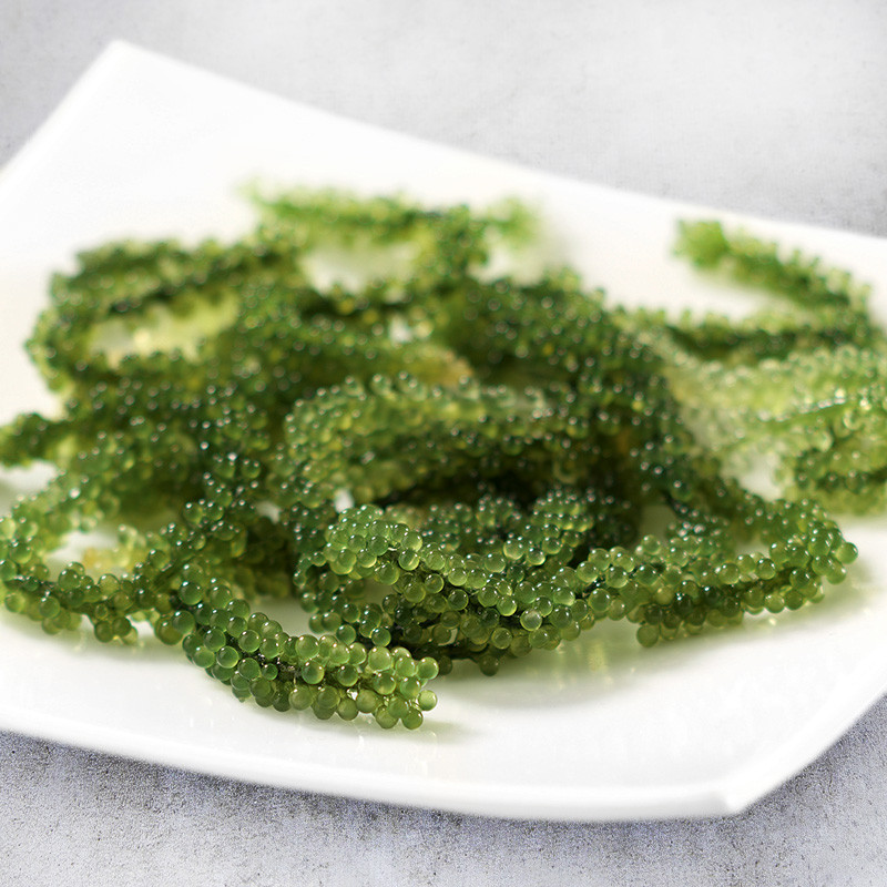 Seagrapes or Umibudo seaweed from Okinawa