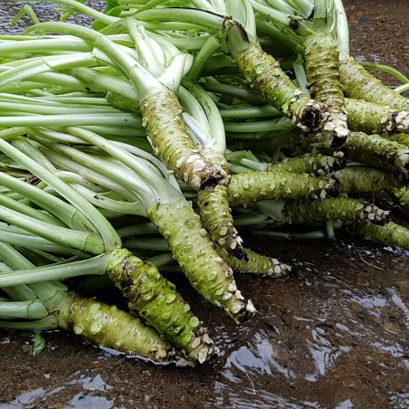 Aceite de arroz con sabor a hon-wasabi y yuzu