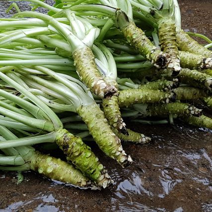 Yuzu and Hon'Wasabi flavored rice oil