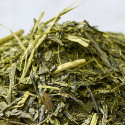 Kagoshima sencha green tea