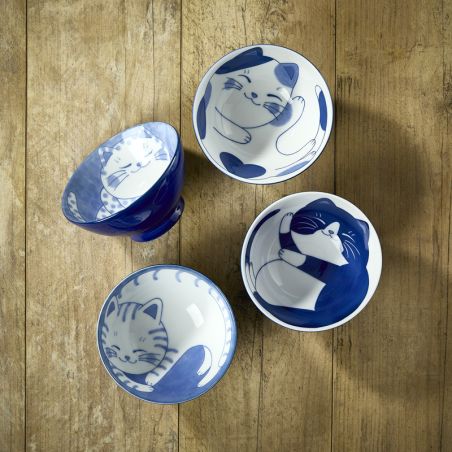 Cat nap and Fish designs rice bowls