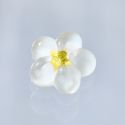 White plum blossom ENGIMONO lucky charm