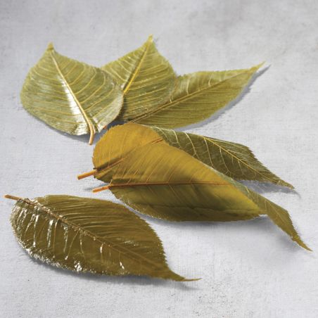 Salted cherry blossom leaves, preservative-free, size M