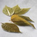 Salted cherry blossom leaves, preservative-free, size M