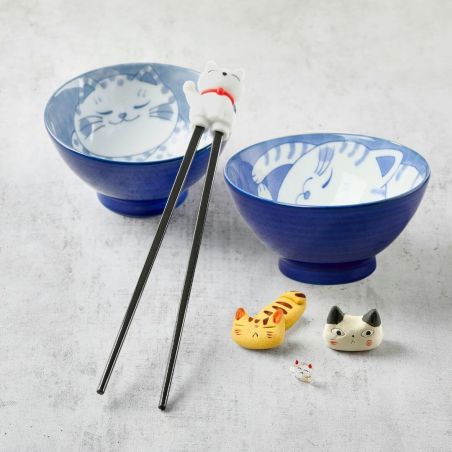 Assortiment japonais chat addict