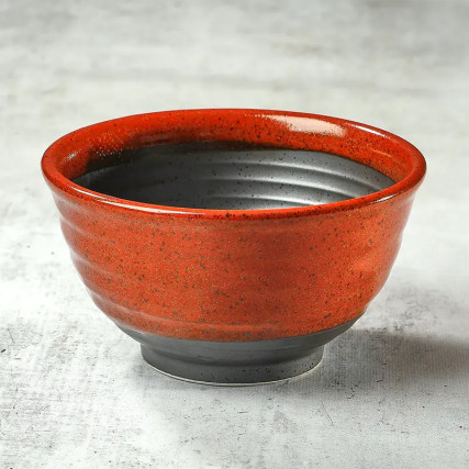 Bowl for soba or udon or donburi - SOLIDON - 